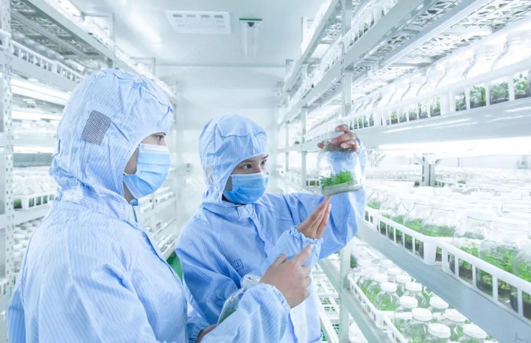 植物組培室設(shè)計的基本布局有哪些？植物組培室的基本布局有什么,？